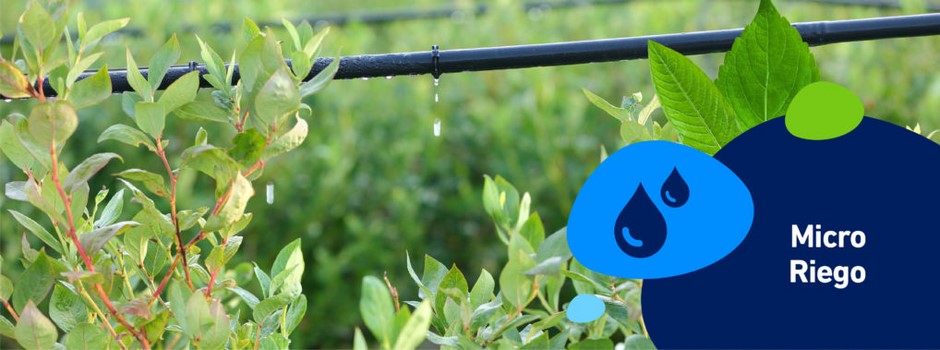 microriego.jpg