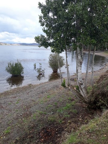 Riego tecnificado riegos panguipulli