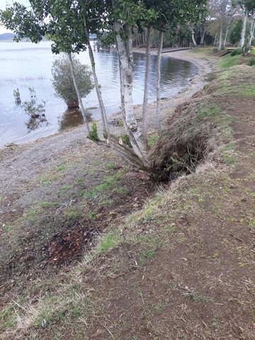 Riego tecnificado riegos panguipulli