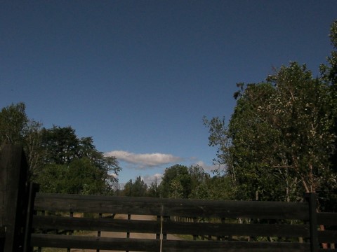 Riego automático riegos pucon