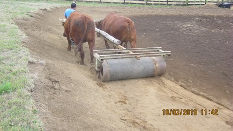Riego tecnificado riegos panguipulli